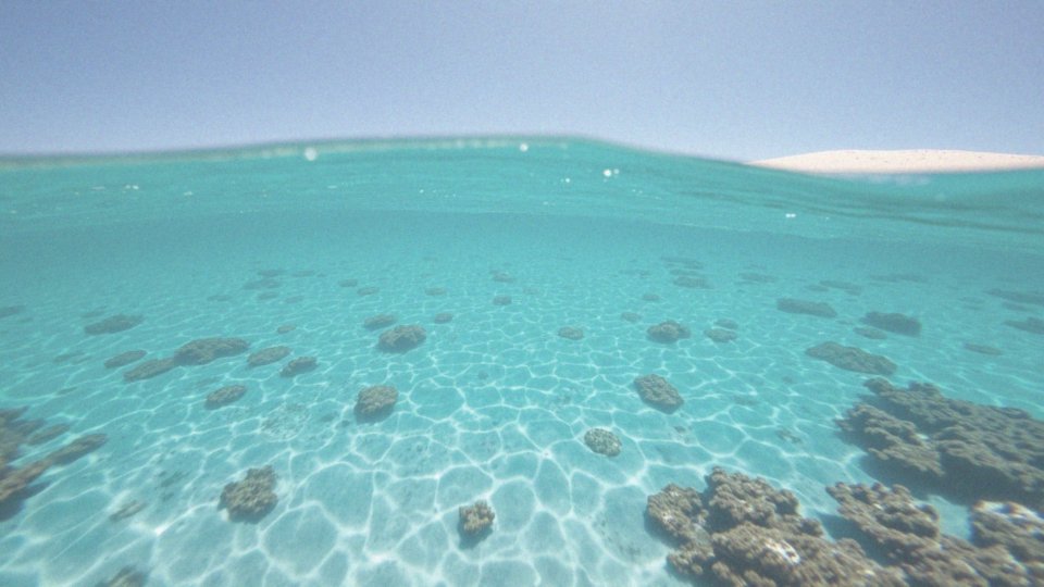 Jak wyglądają warunki widoczności do nurkowania na Zanzibarze?