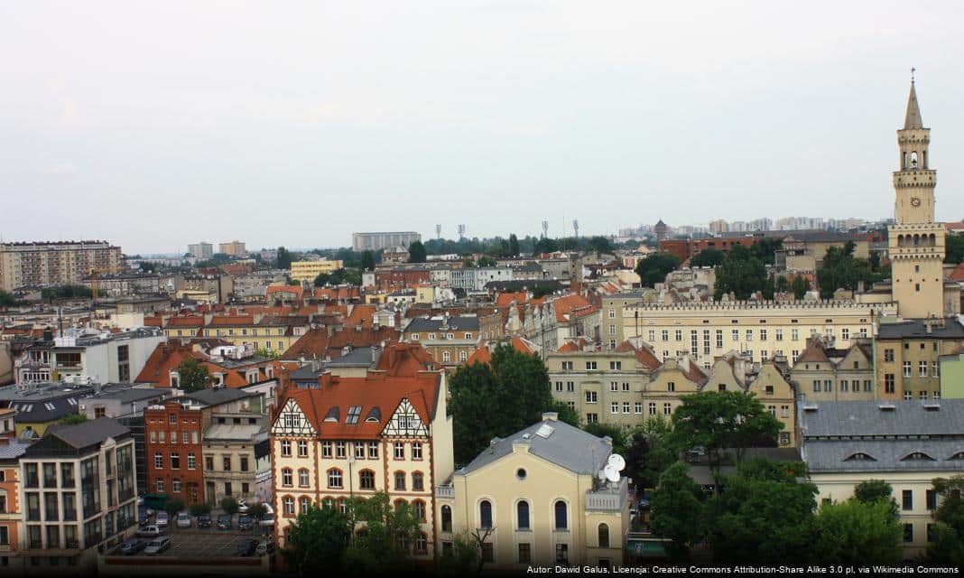 Nowa ekspozycja na opolskim Ostrówku odsłoni tajemnice grodzisk