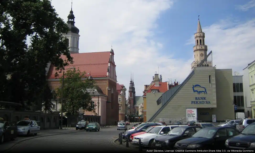 Mural Czesława Niemena wyróżniony w międzynarodowym konkursie