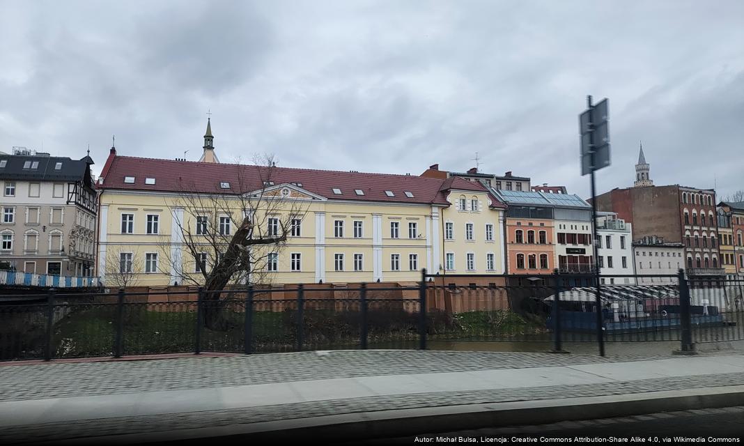 Konferencja online na temat zdrowia psychicznego w Opolu