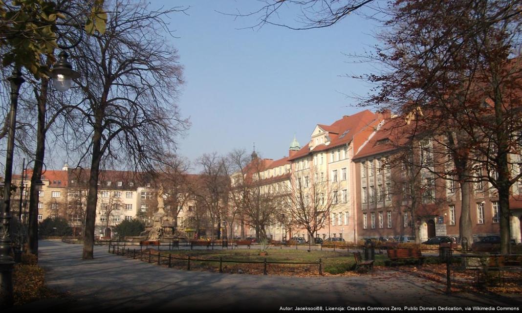 Ostrzeżenie o gęstej mgle w regionie Opola