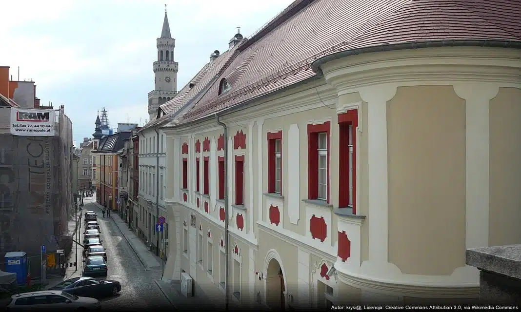 VegeQuchnia: Odkryj smak zdrowej kuchni roślinnej w Opolu